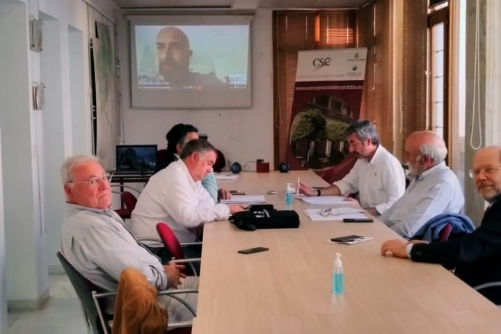 Dictamen sobre el proyecto de Ordenanza Municipal del Excmo. Ayuntamiento de Córdoba de Circulación, Seguridad Vial y Movilidad Sostenible